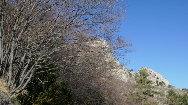 Le Castel Ginesté