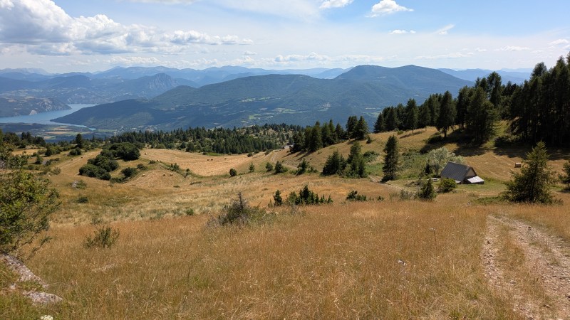Retour dans les pâturages herbeux