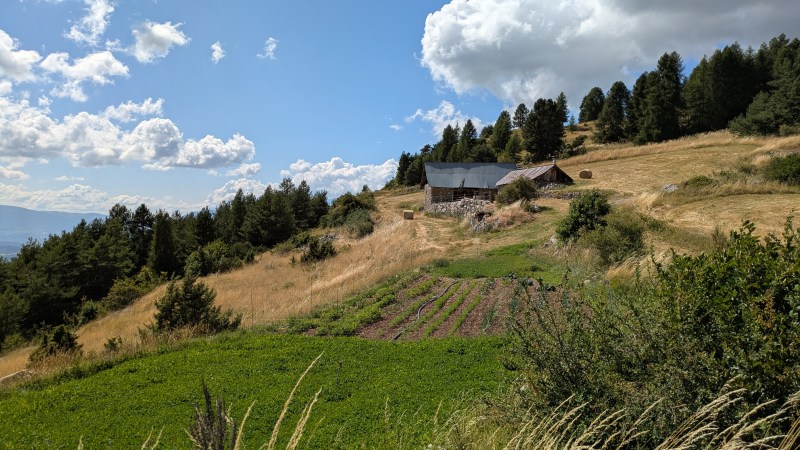 Bergerie et son potager 