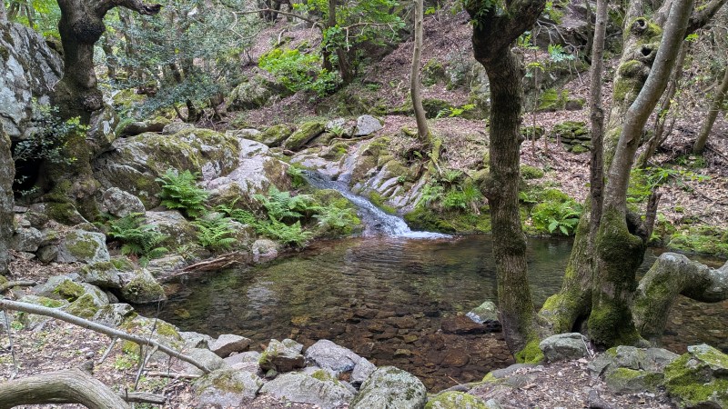 Vasques sur le Ruisseau d'Héric