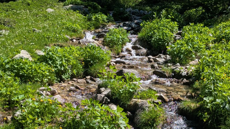 Torrent du Vallon de Mollières