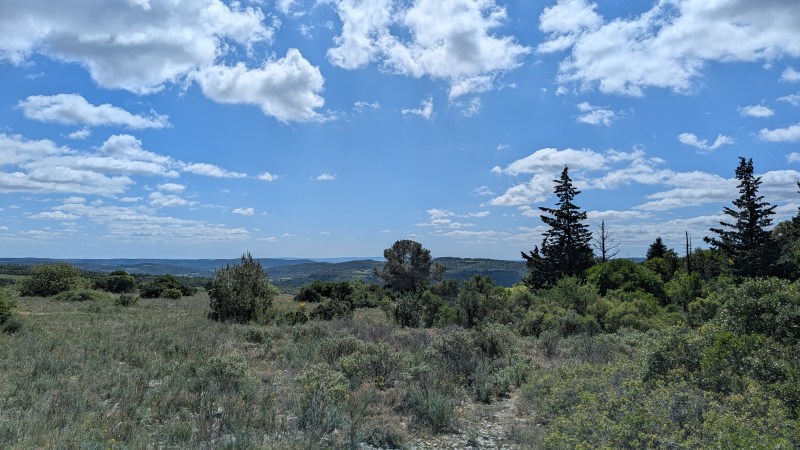 Garrigue au-dessus de Minerve