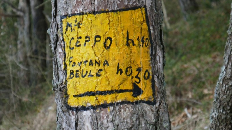 Balisage jaune bien visible vers le Monte Ceppo