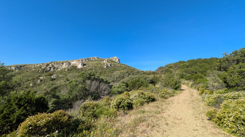 Montée dans le maquis sarde