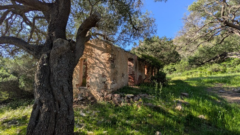 Bergerie abandonnée