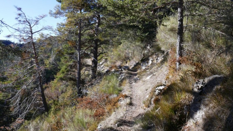 Le sentier vers le Col de Saint-Pons