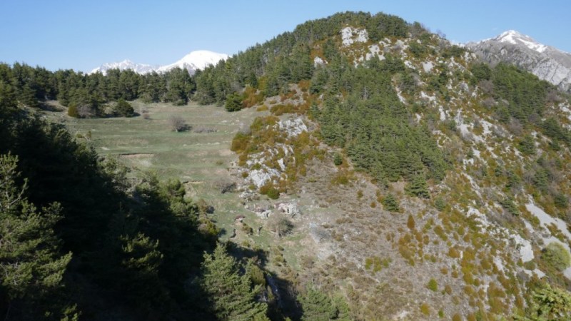 Le grand champ, le Mont Péla est à gauche