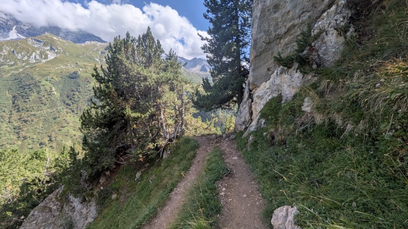 Dans la Forêt Domaniale du Petit Mont Blanc