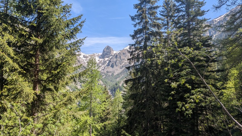 Dans une trouée de la forêt, les Caïres de Cougourde