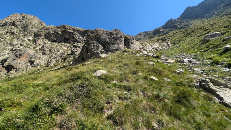 Le haut du couloir herbeux