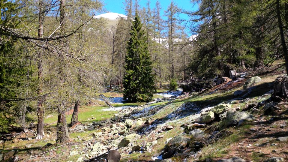 Vers la Vacherie du Cavalet